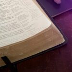 livro-de-romanos-saiba-como-viver-os-ensinamentos-do-capitulo-12