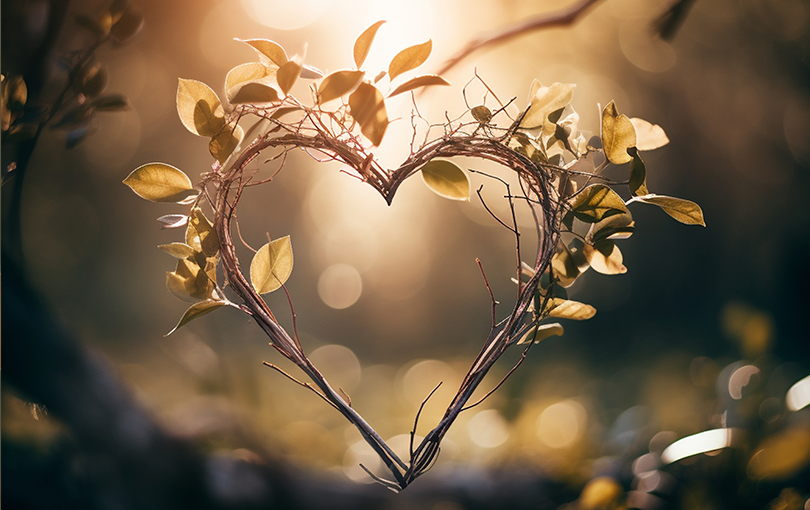 Entenda a importância de cultivar um coração grato